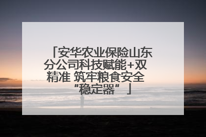 安华农业保险山东分公司科技赋能+双精准 筑牢粮食安全“稳定器”