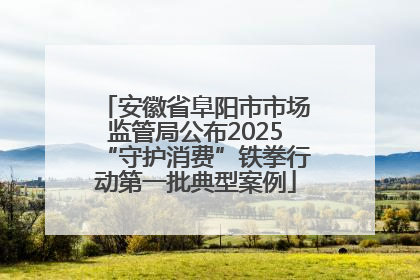 安徽省阜阳市市场监管局公布2025“守护消费”铁拳行动第一批典型案例