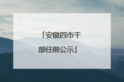安徽四市干部任前公示