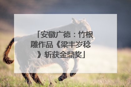 安徽广德：竹根雕作品《梁丰岁稔》斩获金鼎奖