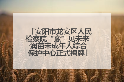 安阳市龙安区人民检察院“豫”见未来·润苗未成年人综合保护中心正式揭牌
