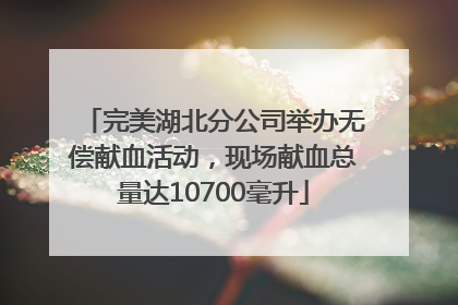 完美湖北分公司举办无偿献血活动，现场献血总量达10700毫升
