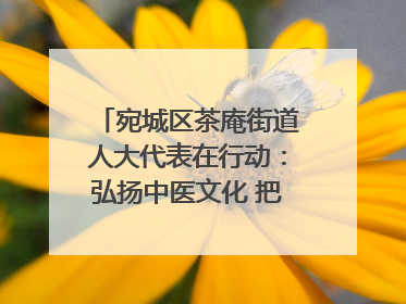 宛城区茶庵街道人大代表在行动：弘扬中医文化 把脉基层健康