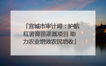 宜城市审计局：护航红薯育苗灌溉项目 助力农业增效农民增收