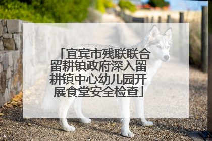 宜宾市残联联合留耕镇政府深入留耕镇中心幼儿园开展食堂安全检查