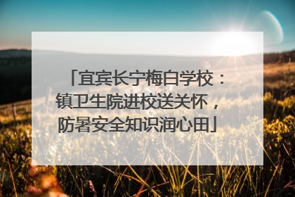宜宾长宁梅白学校：镇卫生院进校送关怀，防暑安全知识润心田