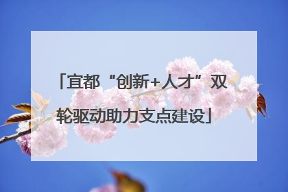 宜都“创新+人才”双轮驱动助力支点建设