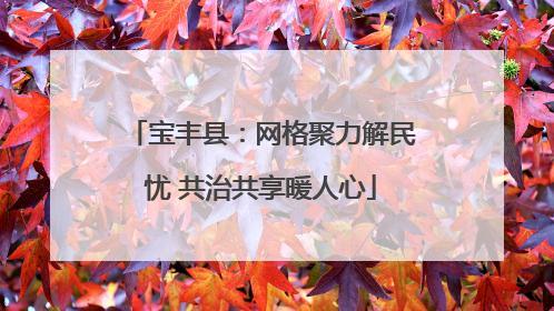 宝丰县：网格聚力解民忧 共治共享暖人心