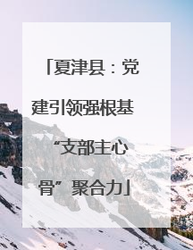 夏津县：党建引领强根基 “支部主心骨”聚合力
