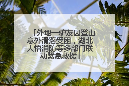 外地一驴友因登山意外滑落受困，湖北大悟消防等多部门联动紧急救援