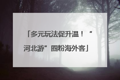 多元玩法促升温！“河北游”圈粉海外客