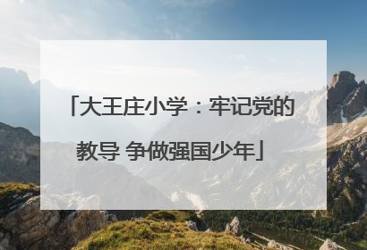 大王庄小学：牢记党的教导 争做强国少年