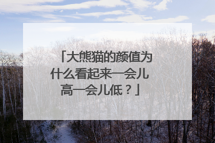 大熊猫的颜值为什么看起来一会儿高一会儿低？