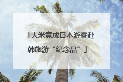 大米竟成日本游客赴韩旅游“纪念品”