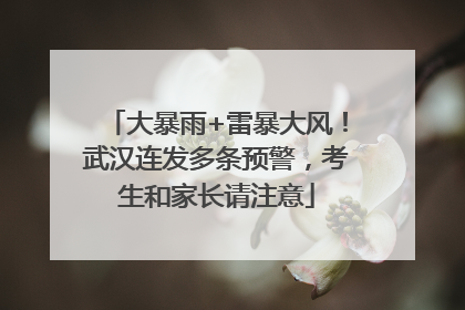 大暴雨+雷暴大风！武汉连发多条预警，考生和家长请注意