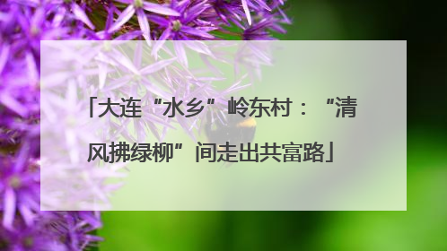 大连“水乡”岭东村：“清风拂绿柳”间走出共富路