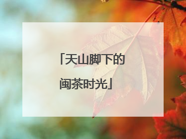 天山脚下的闽茶时光