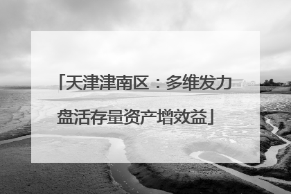 天津津南区：多维发力盘活存量资产增效益