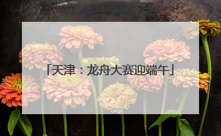 天津：龙舟大赛迎端午