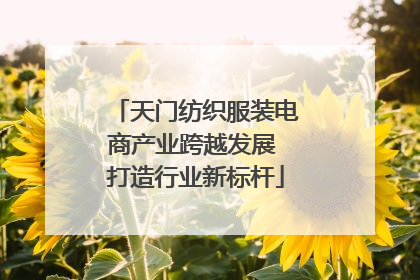 天门纺织服装电商产业跨越发展 打造行业新标杆