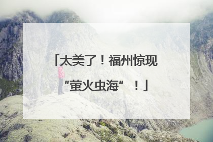 太美了！福州惊现“萤火虫海”！