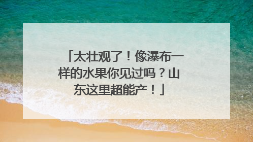 太壮观了！像瀑布一样的水果你见过吗？山东这里超能产！