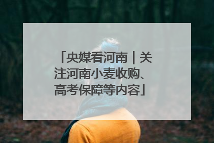 央媒看河南｜关注河南小麦收购、高考保障等内容