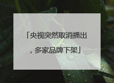 央视突然取消播出，多家品牌下架