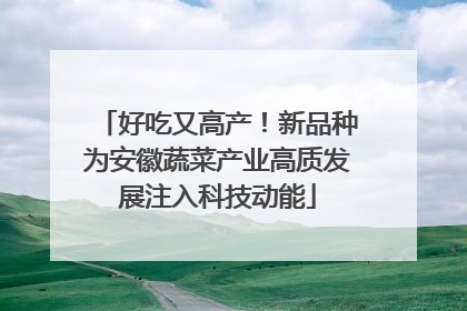 好吃又高产！新品种为安徽蔬菜产业高质发展注入科技动能