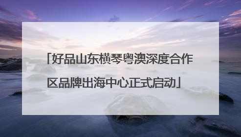 好品山东横琴粤澳深度合作区品牌出海中心正式启动