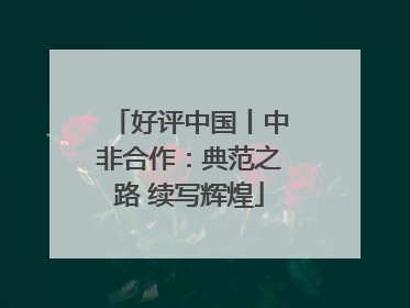 好评中国丨中非合作：典范之路 续写辉煌