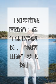 如皋市城南街道：端午佳节韵悠长，“城南田语”梦飞扬