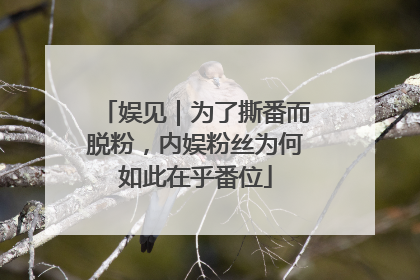 娱见｜为了撕番而脱粉，内娱粉丝为何如此在乎番位