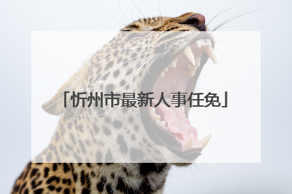 忻州市最新人事任免