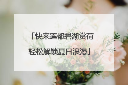快来莲都碧湖赏荷 轻松解锁夏日浪漫