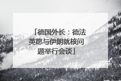 德国外长：德法英愿与伊朗就核问题举行会谈