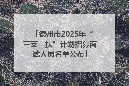 德州市2025年“三支一扶”计划招募面试人员名单公布