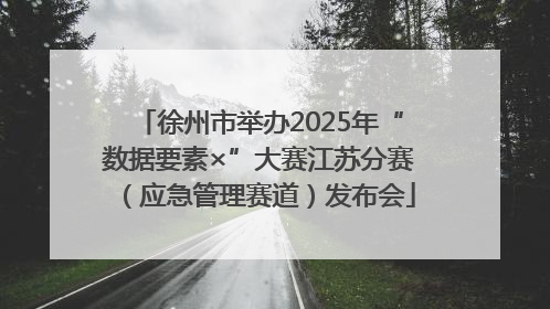 徐州市举办2025年“数据要素×”大赛江苏分赛（应急管理赛道）发布会