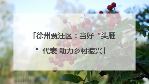 徐州贾汪区：当好“头雁”代表 助力乡村振兴