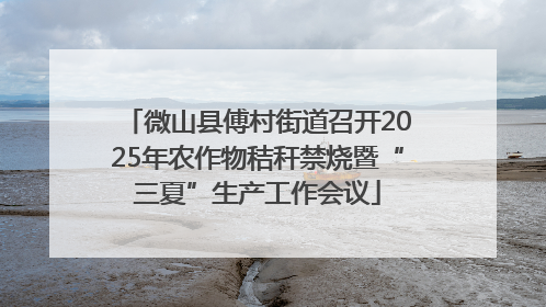 微山县傅村街道召开2025年农作物秸秆禁烧暨“三夏”生产工作会议