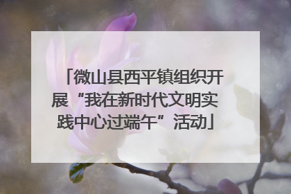 微山县西平镇组织开展“我在新时代文明实践中心过端午”活动