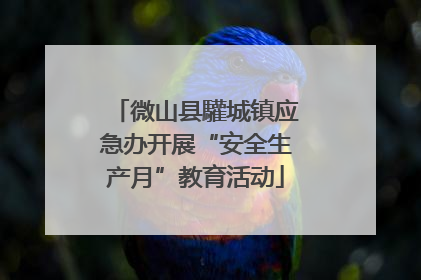 微山县驩城镇应急办开展“安全生产月”教育活动