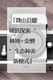 微山县驩城镇探索“林地+金蝉”生态种养新模式