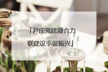 尹庄党建凝合力 联建议事促振兴