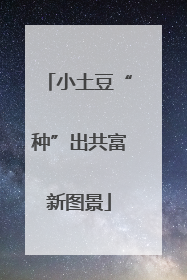 小土豆“种”出共富新图景