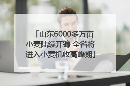 山东6000多万亩小麦陆续开镰 全省将进入小麦机收高峰期