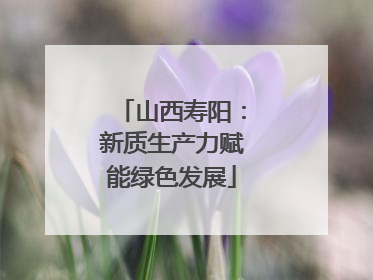 山西寿阳：新质生产力赋能绿色发展