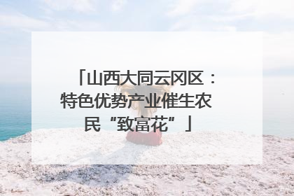山西大同云冈区：特色优势产业催生农民“致富花”