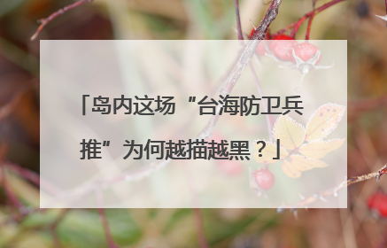 岛内这场“台海防卫兵推”为何越描越黑？