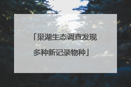 巢湖生态调查发现多种新记录物种